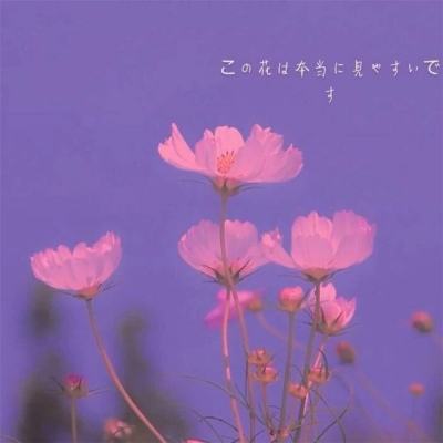 天游棋牌app下载安装手机版